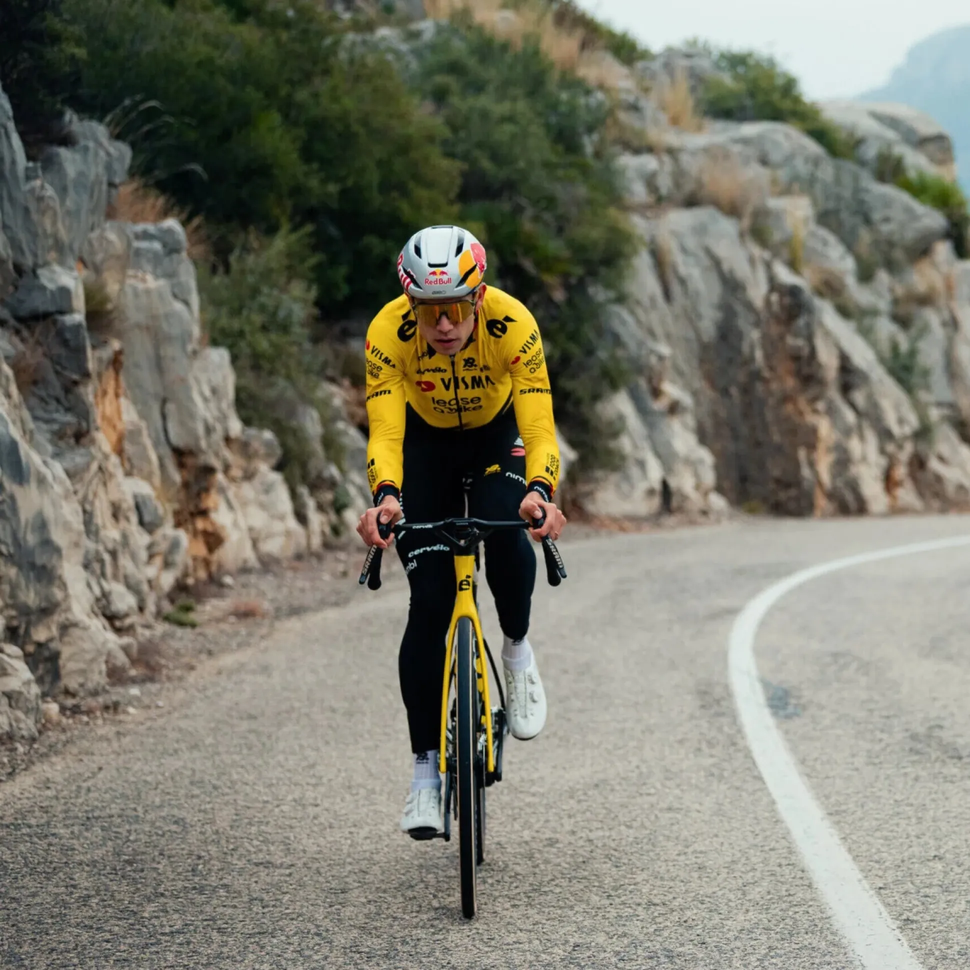 Calzamaglia Team Visma Lease a bike 2026