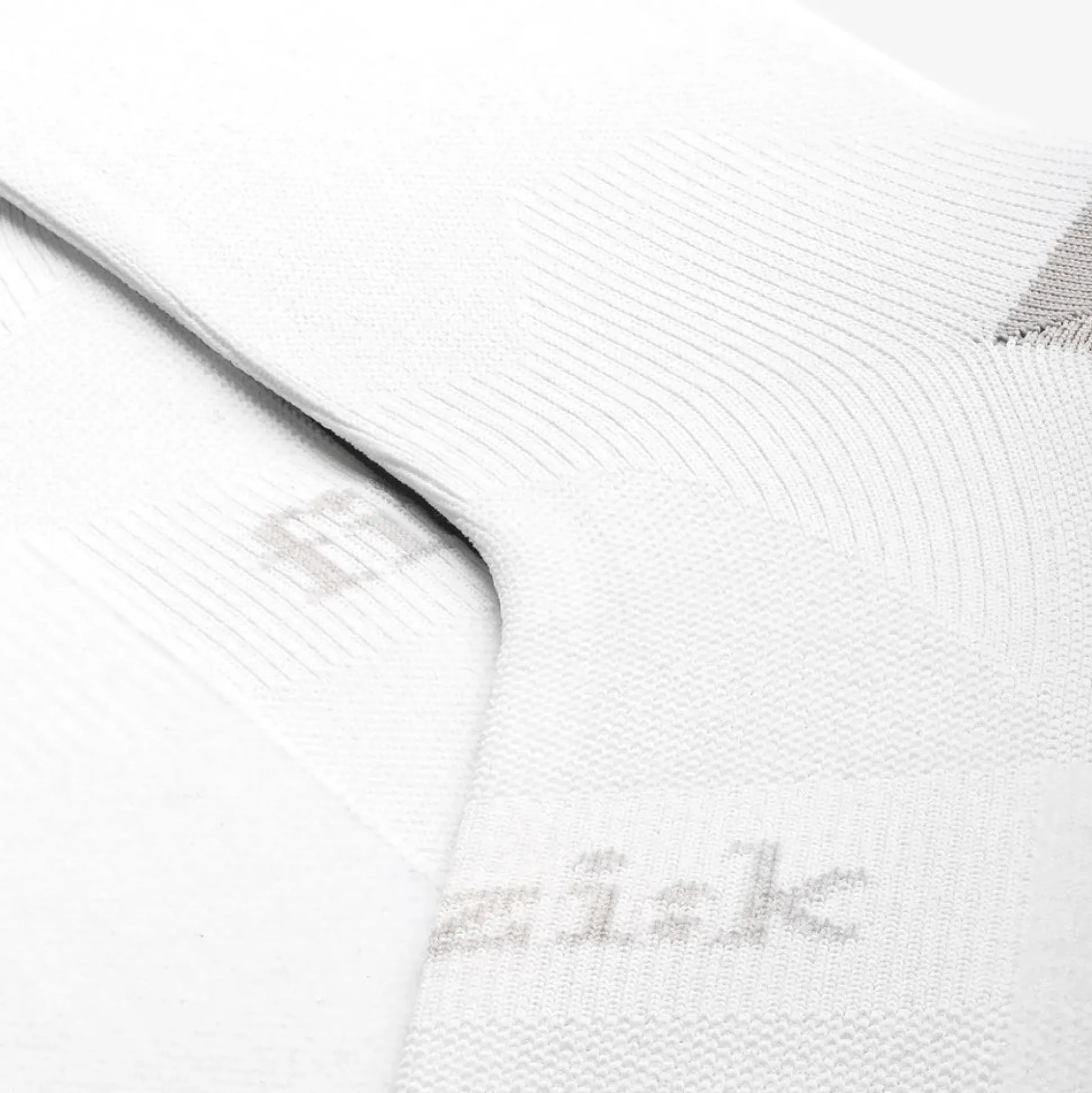 Calze Fizik Performance Team - Bianco