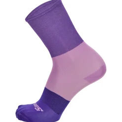 Calze Santini Big Bengal - Viola