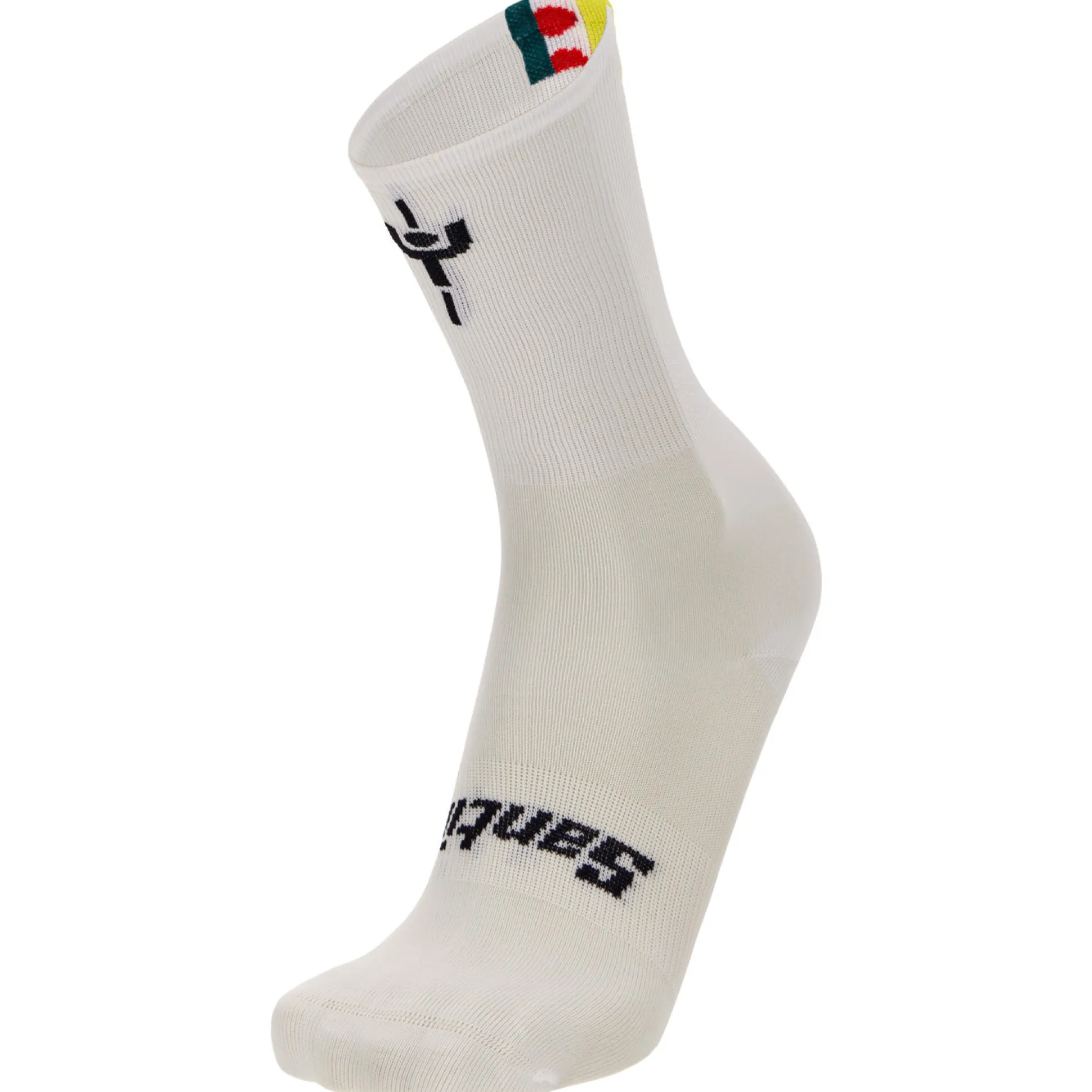 Calze Santini Tour de France 2024 - Combo