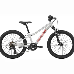 Cannondale Kids Trail 20 - Argento