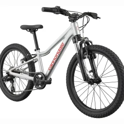 Cannondale Kids Trail 20 - Argento