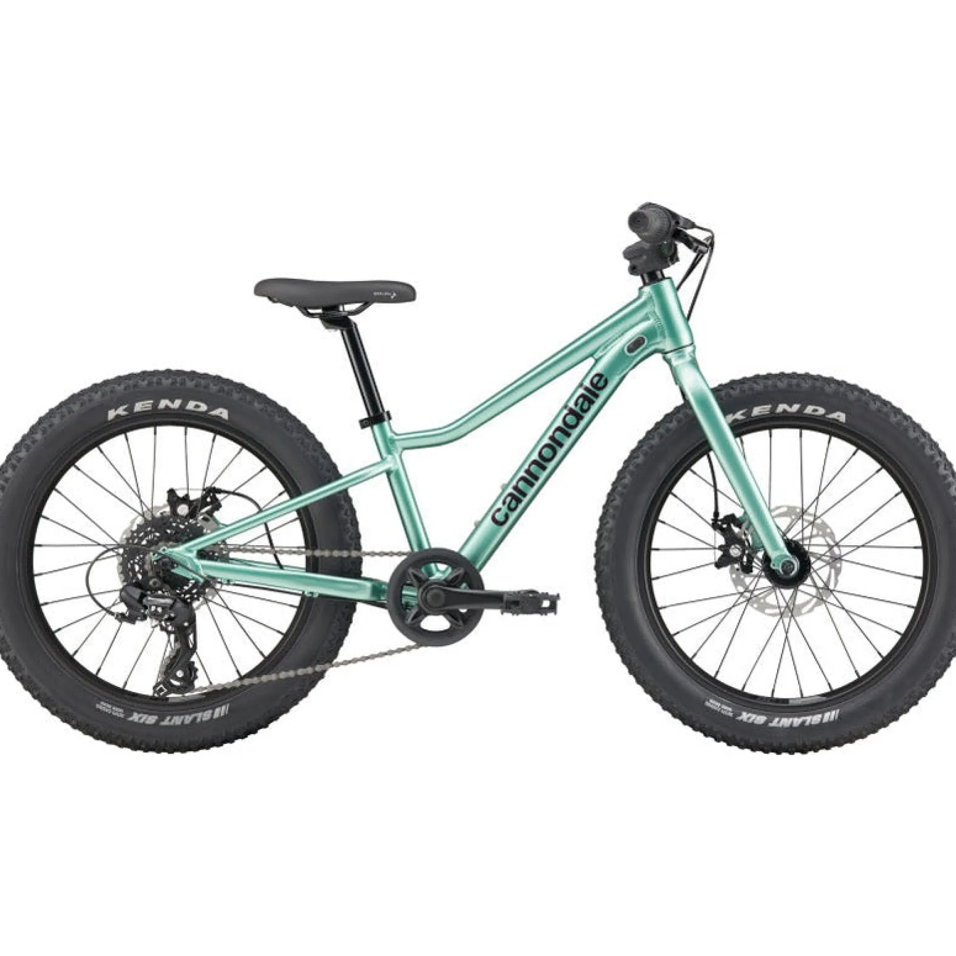 Cannondale Kids Trail Plus 20 - Verde