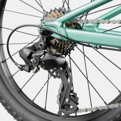 Cannondale Kids Trail 20 - Verde