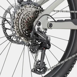 Cannondale Moterra Carbon LT 1 - Grigio