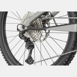 Cannondale Moterra Neo Carbon SL 2 - Grigio