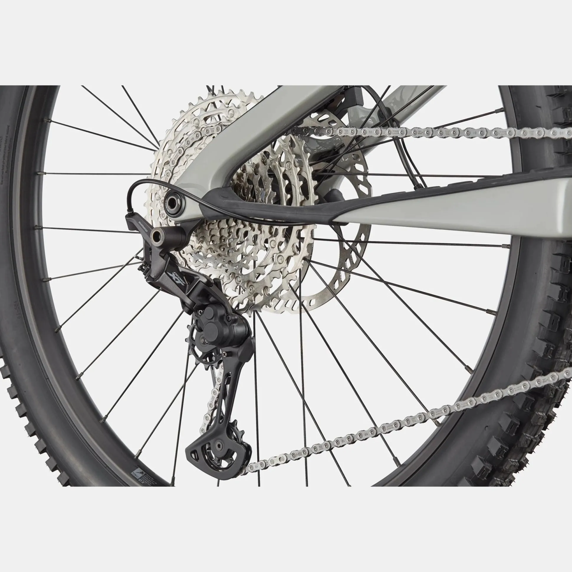 Cannondale Moterra Neo Carbon SL 2 - Grigio