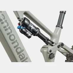 Cannondale Moterra Neo Carbon SL 2 - Grigio