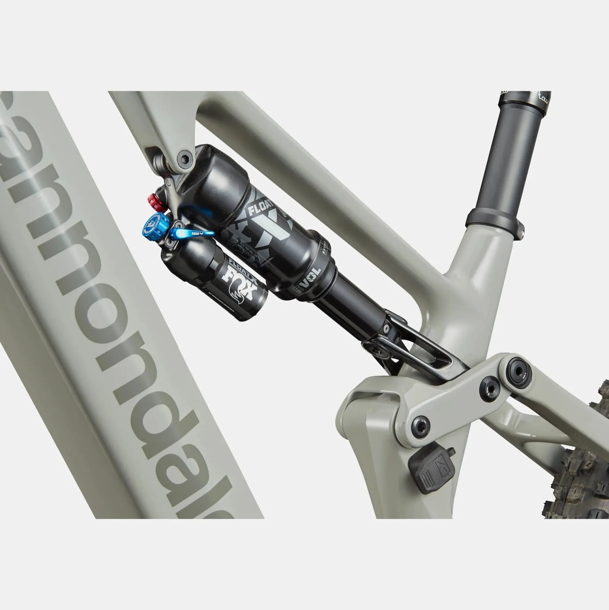 Cannondale Moterra Neo Carbon SL 2 - Grigio