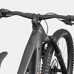 Cannondale Moterra 4 Plus - Grigio scuro