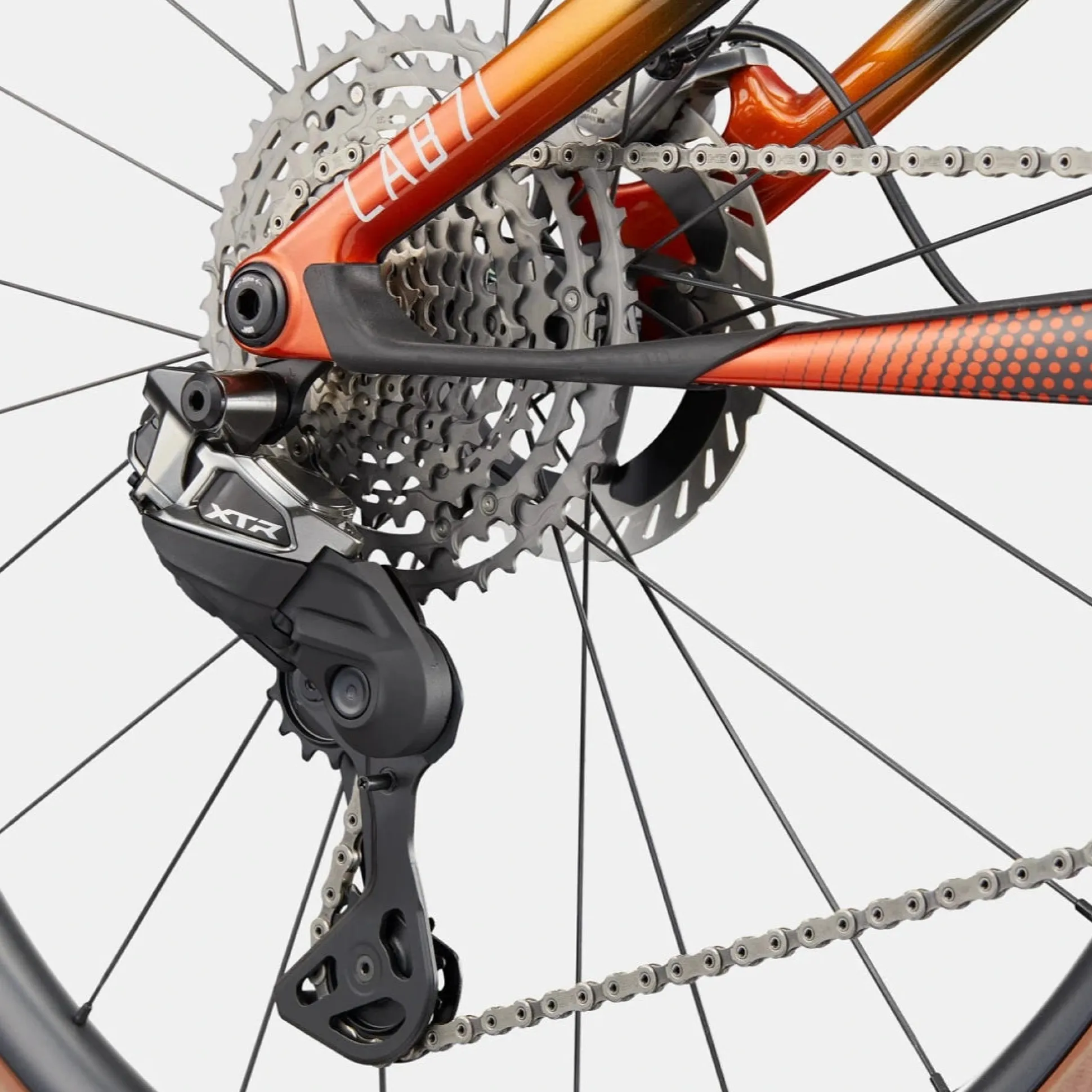 Cannondale Scalpel Carbon LAB71 - Team replica