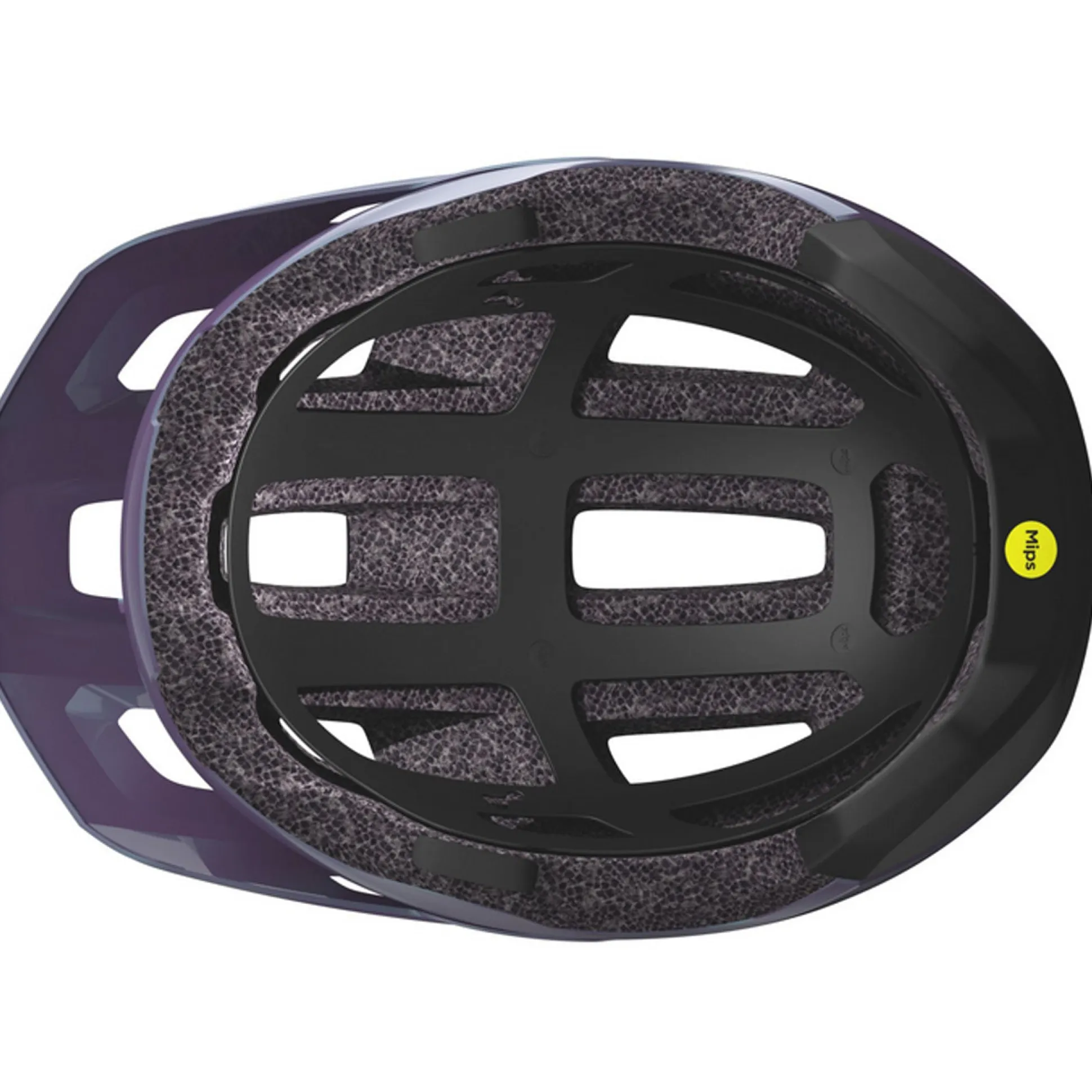 Casco Scott Argo Plus - Viola