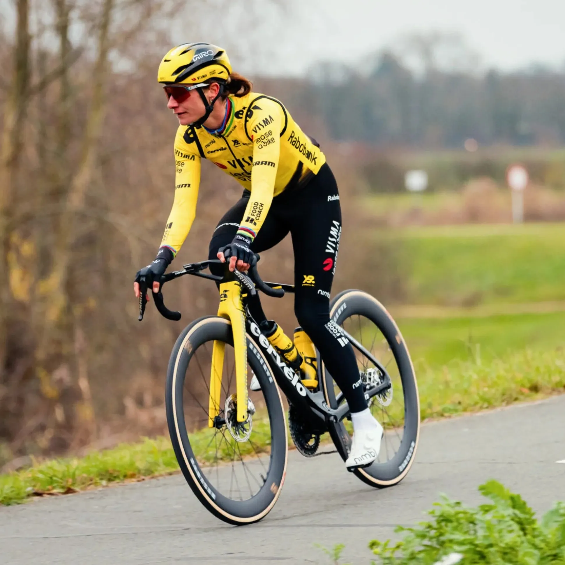 Gambali Team Visma Lease a bike 2026 Premium