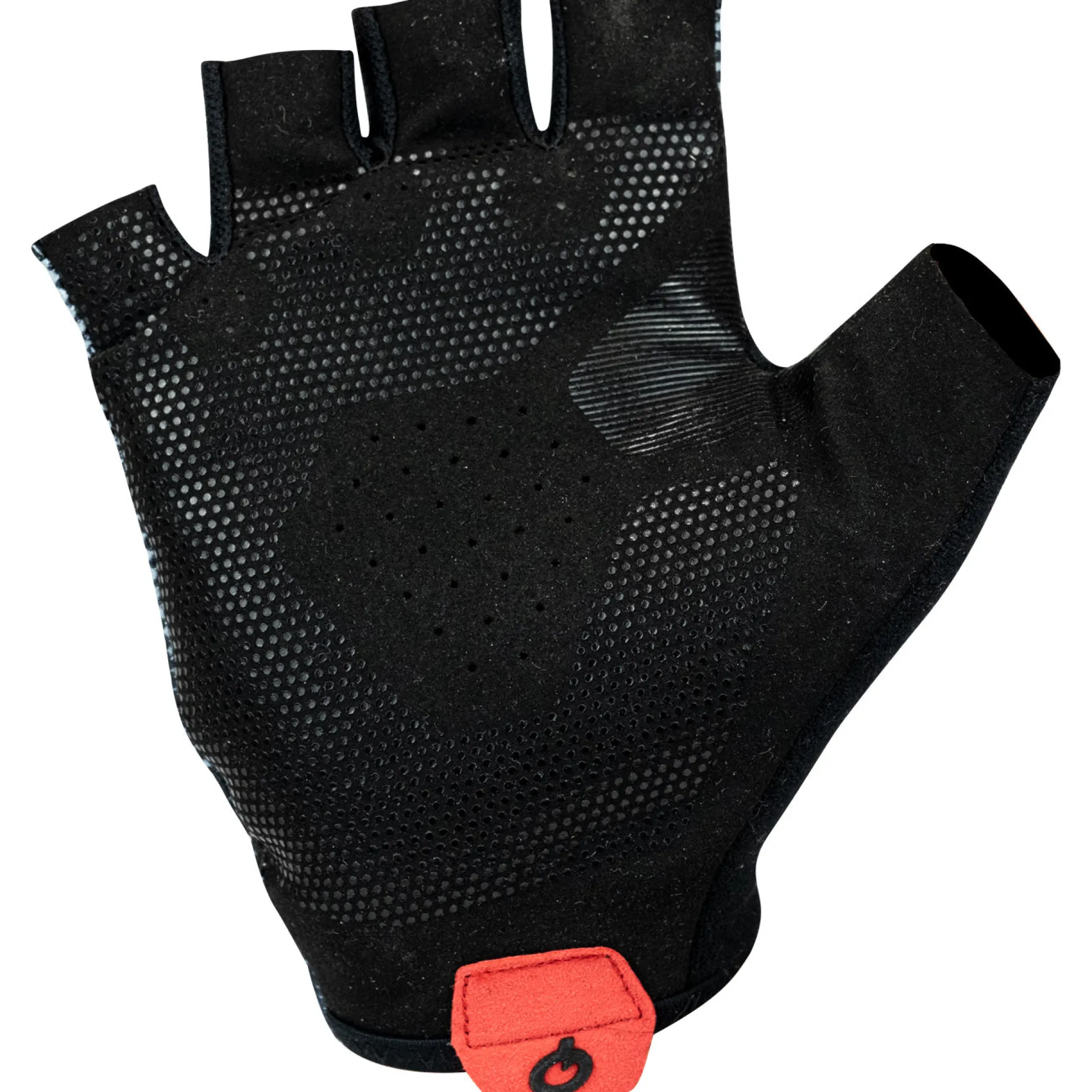 Guanti Prologo Blend Short Fingers