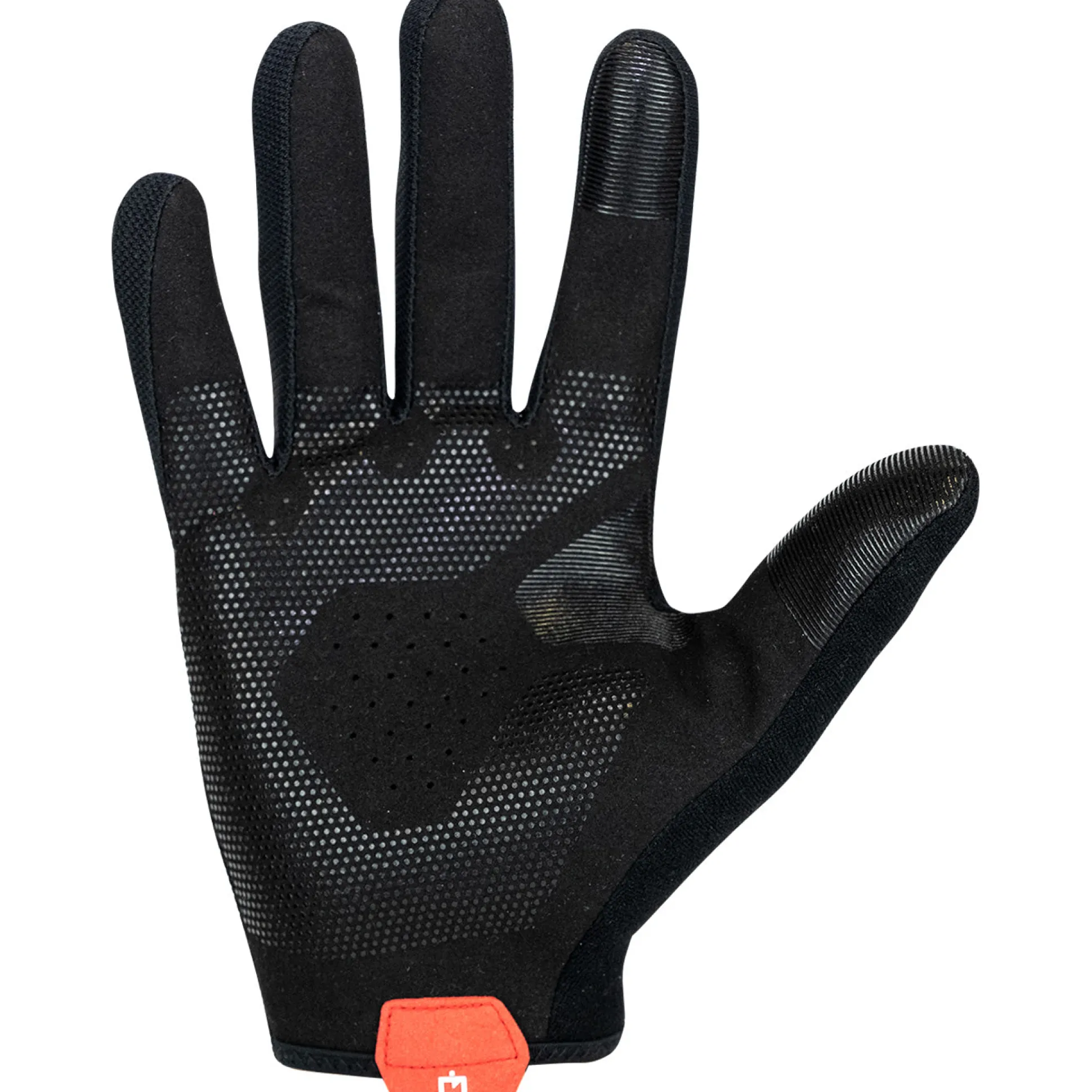 Guanti Prologo Proxim Levers