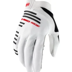 Guanti 100% R-Core - Argento