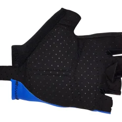 Guanti Santini UCI Official - Blu