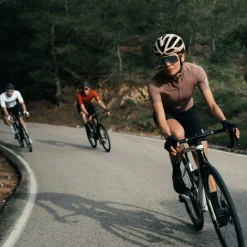 Maglia donna Q36.5 Dottore Pro - Marrone