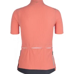 Maglia donna Q36.5 L1 Pinstripe X - Rosa