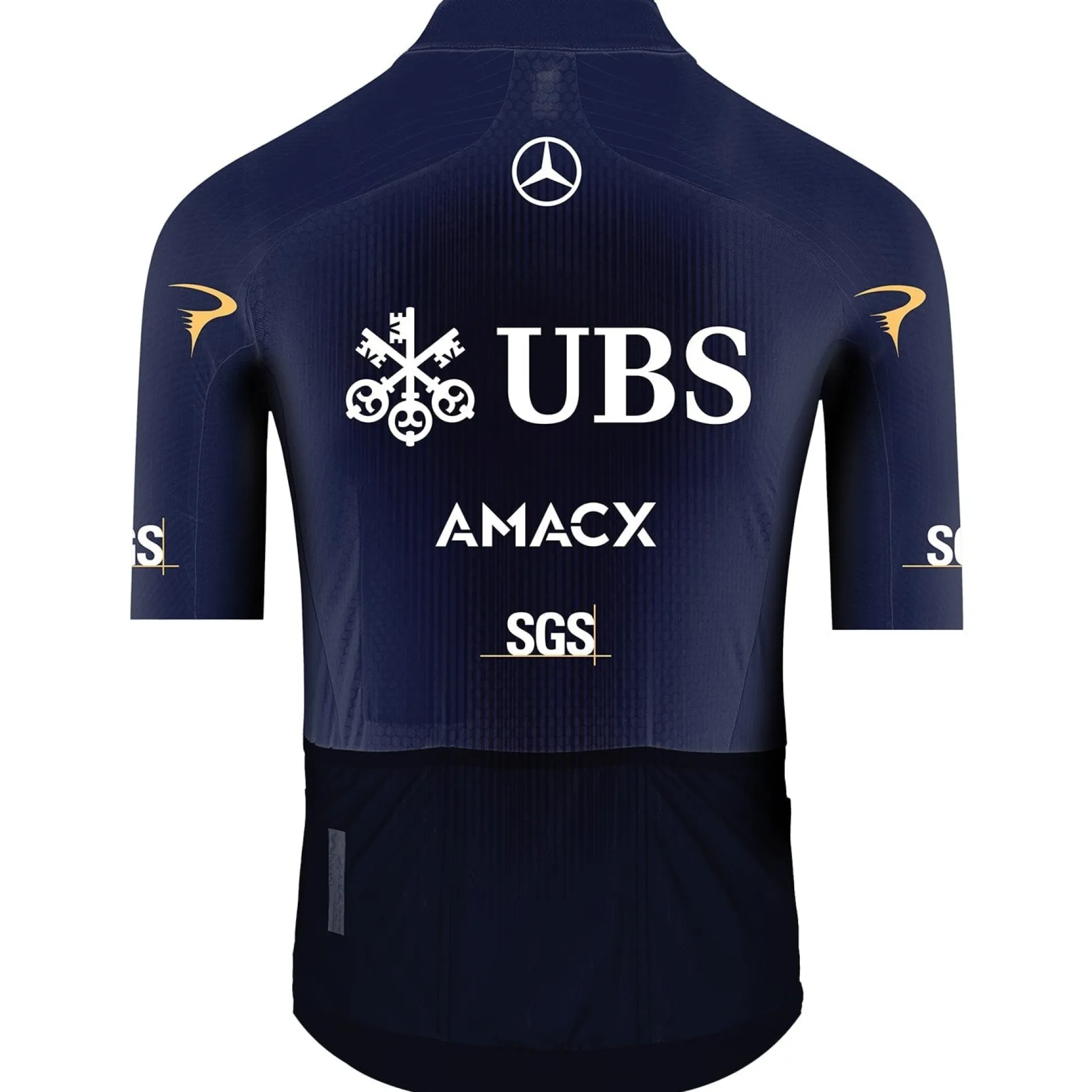 Maglia Pinarello-Q36.5 Pro Cycling Team 2026 Gregarius Clima