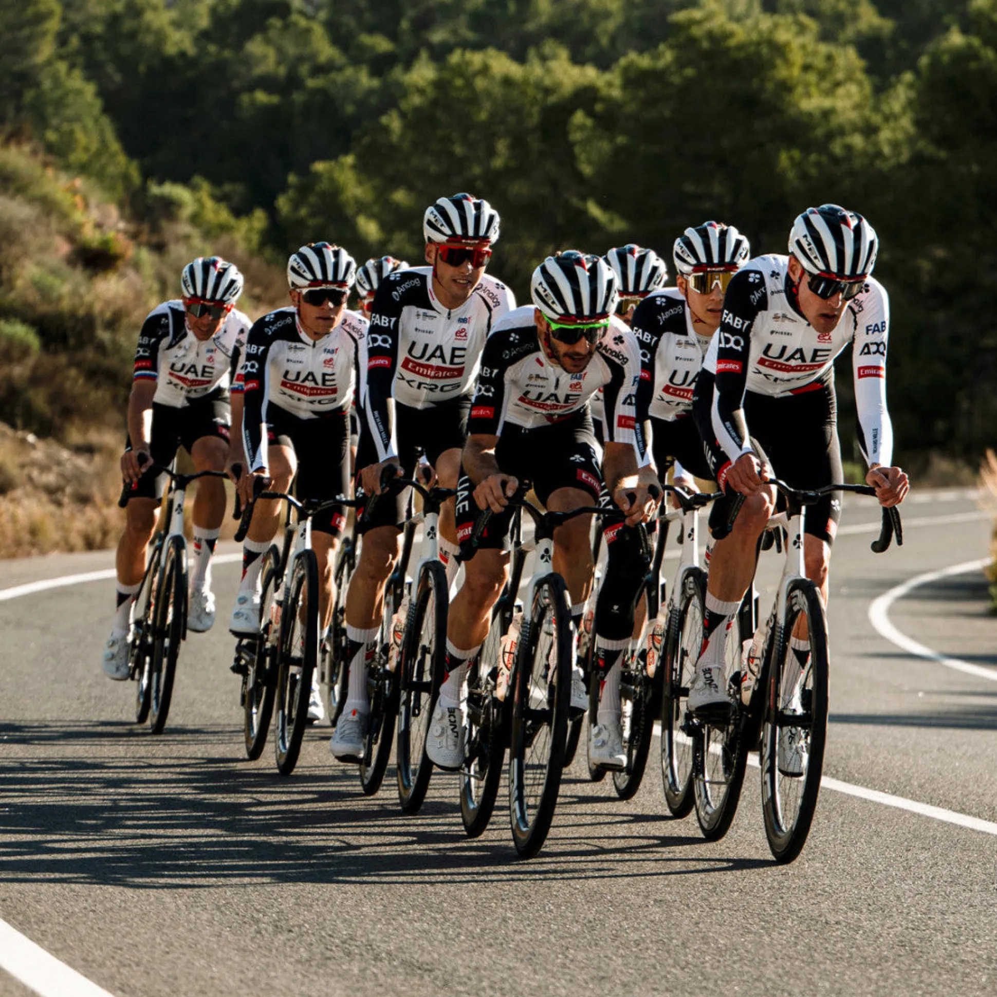 Maglia Pissei UAE Team Emirates - XRG 2026