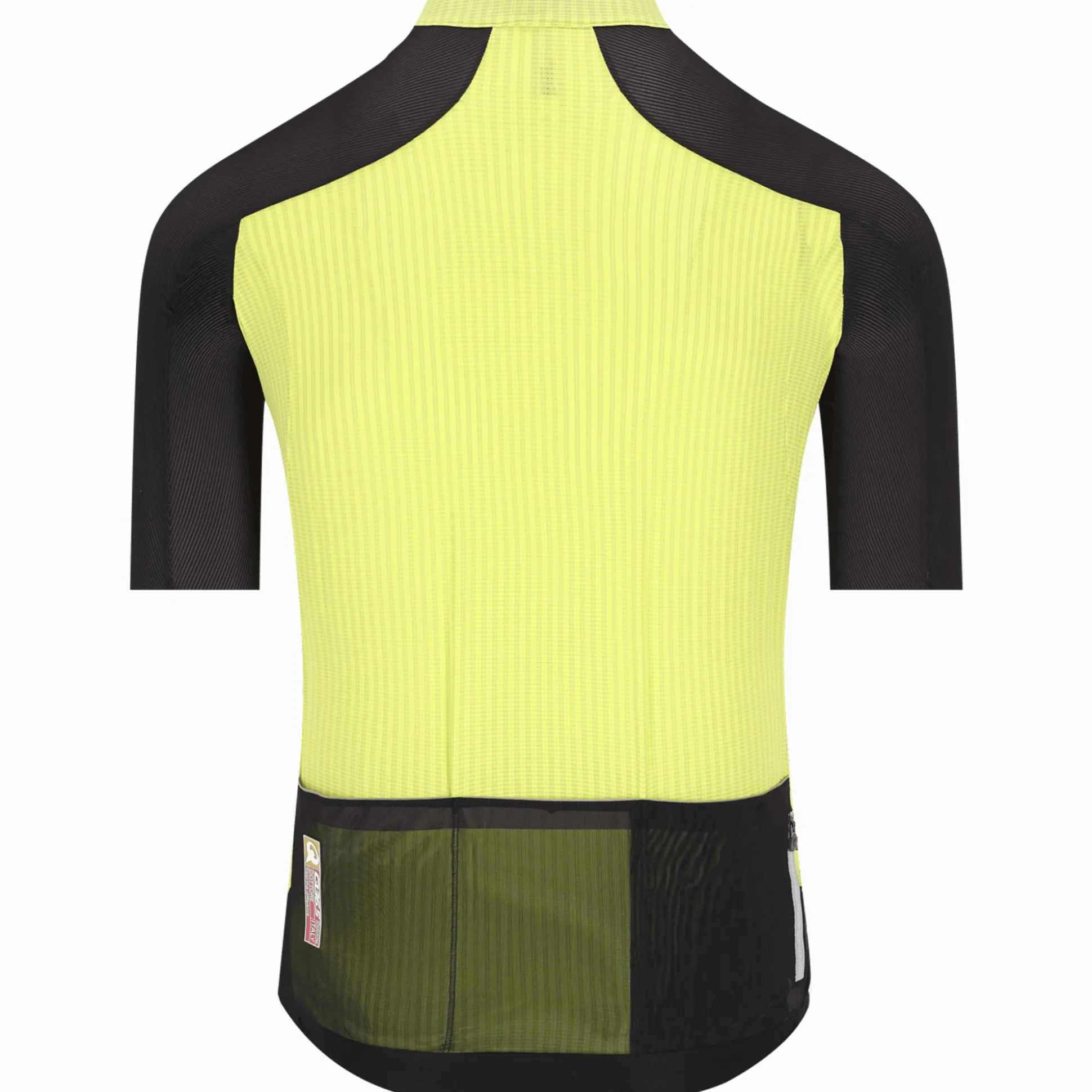 Maglia Q36.5 Dottore Clima Pro - Verde
