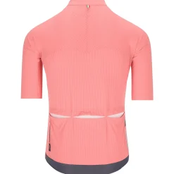 Maglia Q36.5 Dottore Pro - Rosa