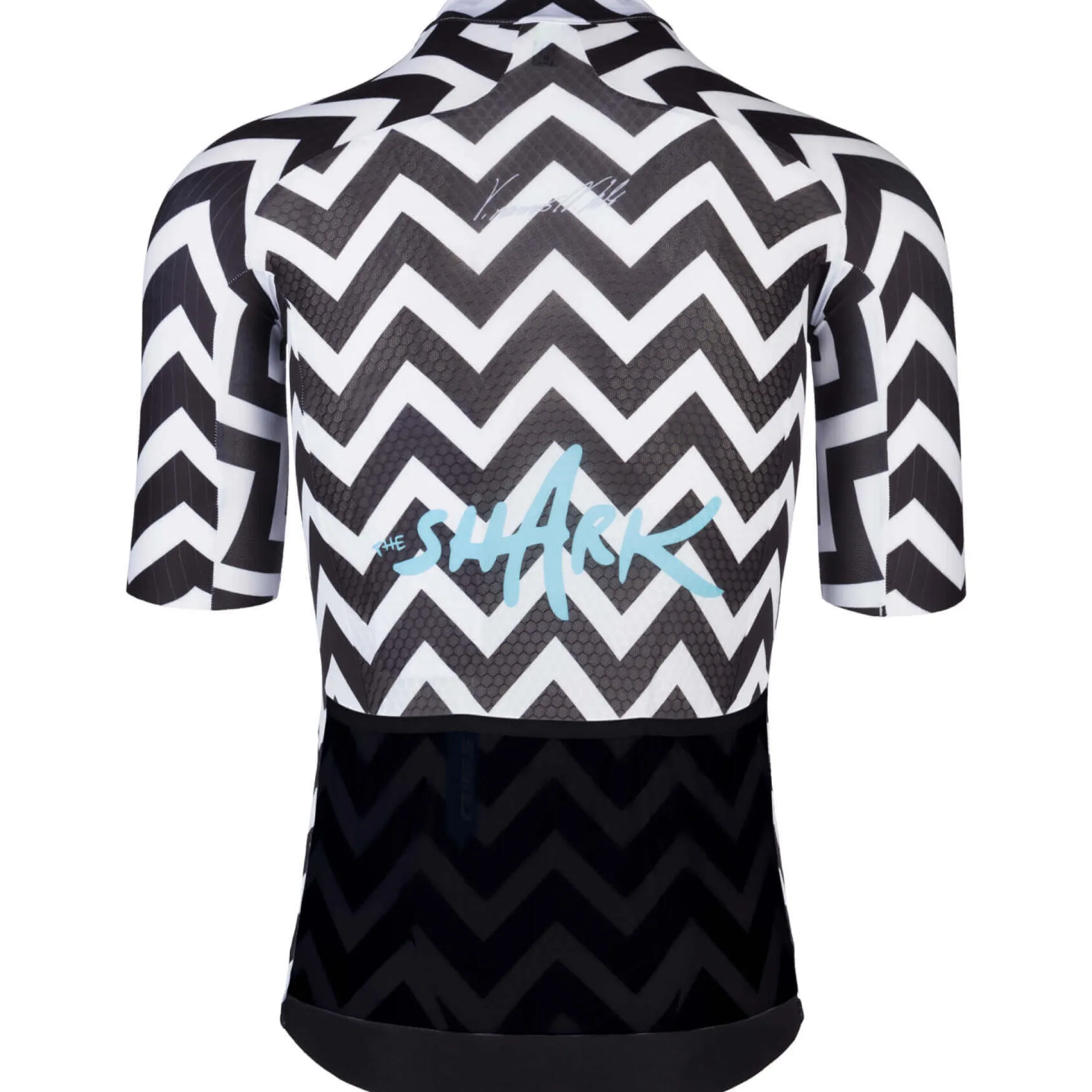 Maglia Q36.5 R2 Light - Nibali Shark