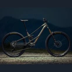 Orbea WILD LT M20 - Marrone