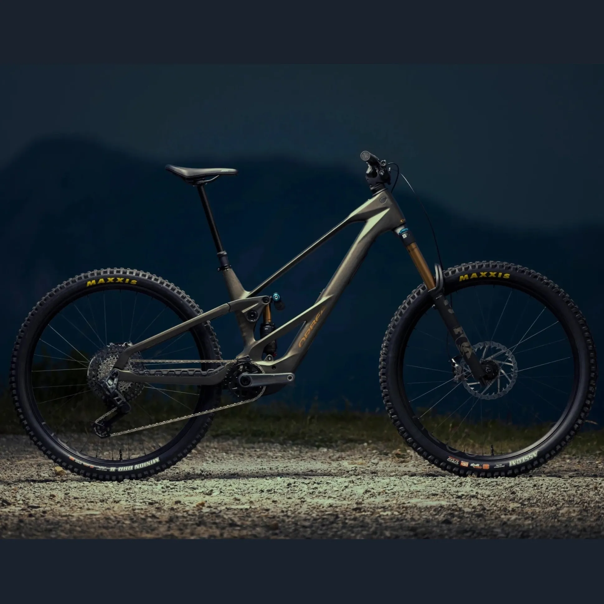 Orbea WILD LT M20 - Marrone