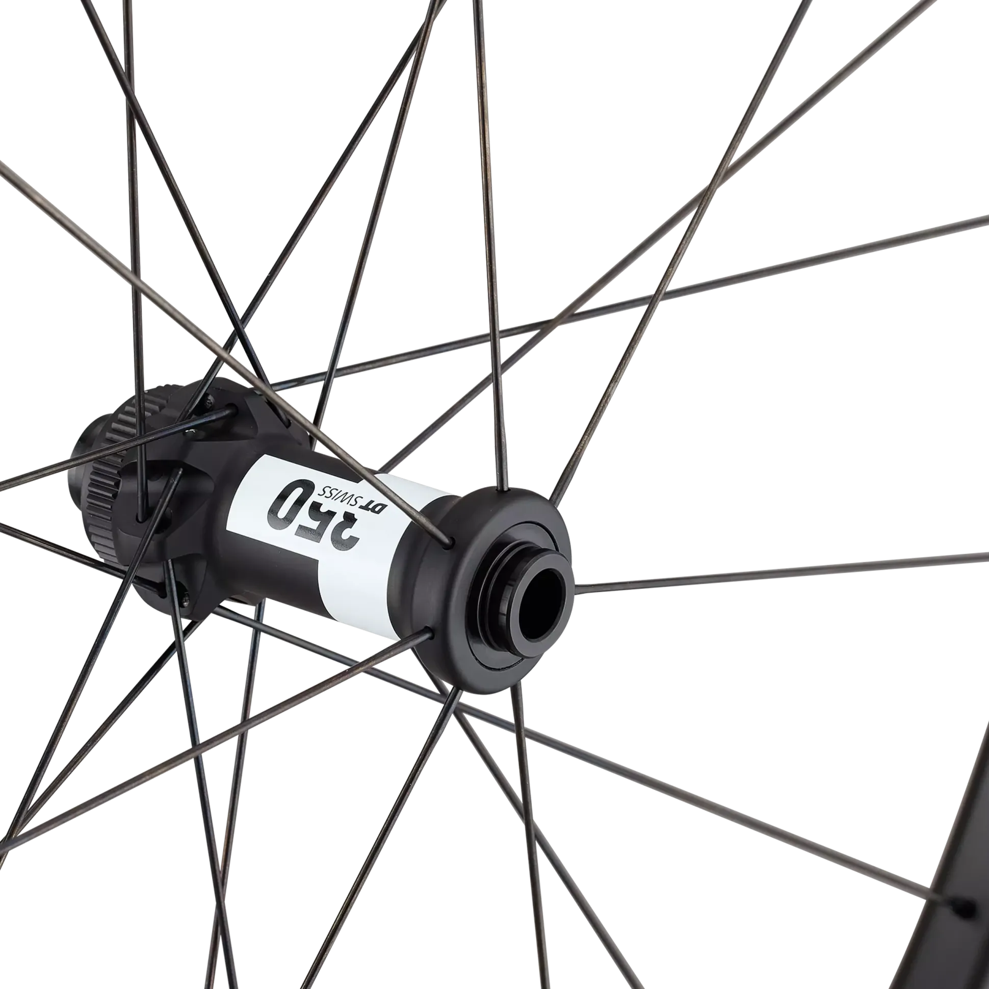 Ruota anteriore Roval Terra Aero CL - Nero