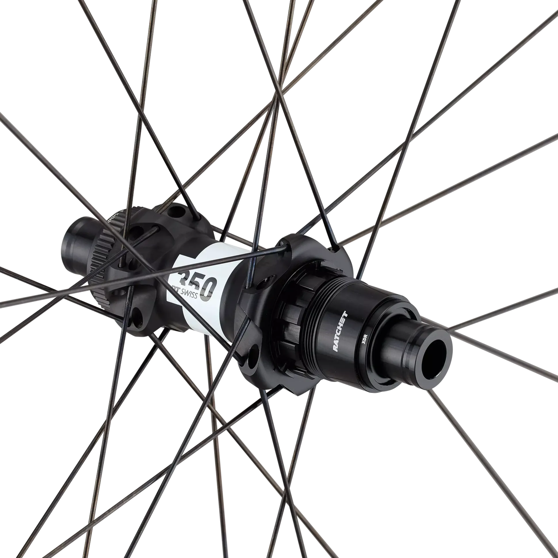 Ruota posteriore Roval Terra Aero CL - Nero
