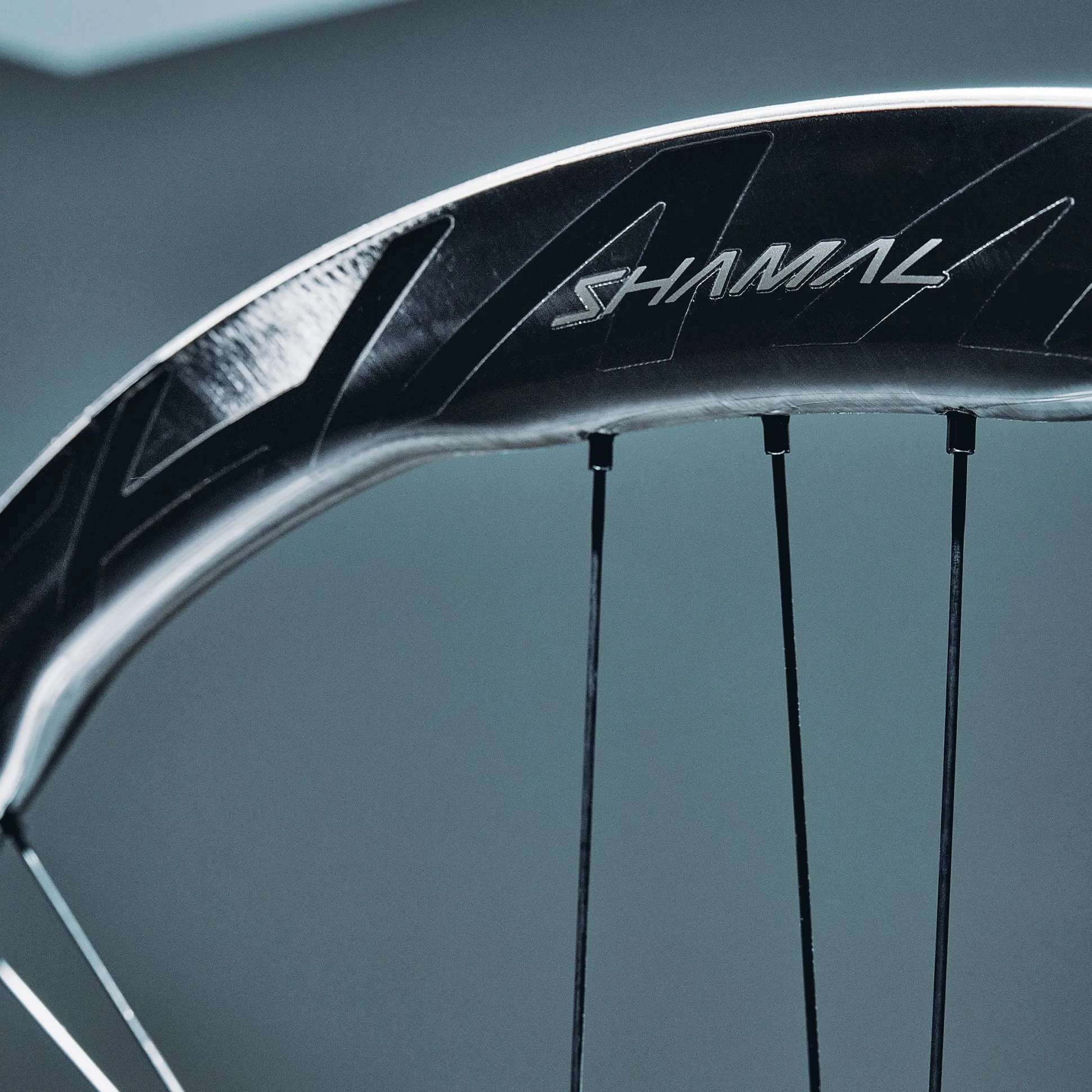 Ruote Campagnolo Shamal Dual Profile - Nero
