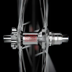 Ruote Dt Swiss ARC 1100 DI CL 38 - Three Decade Limited