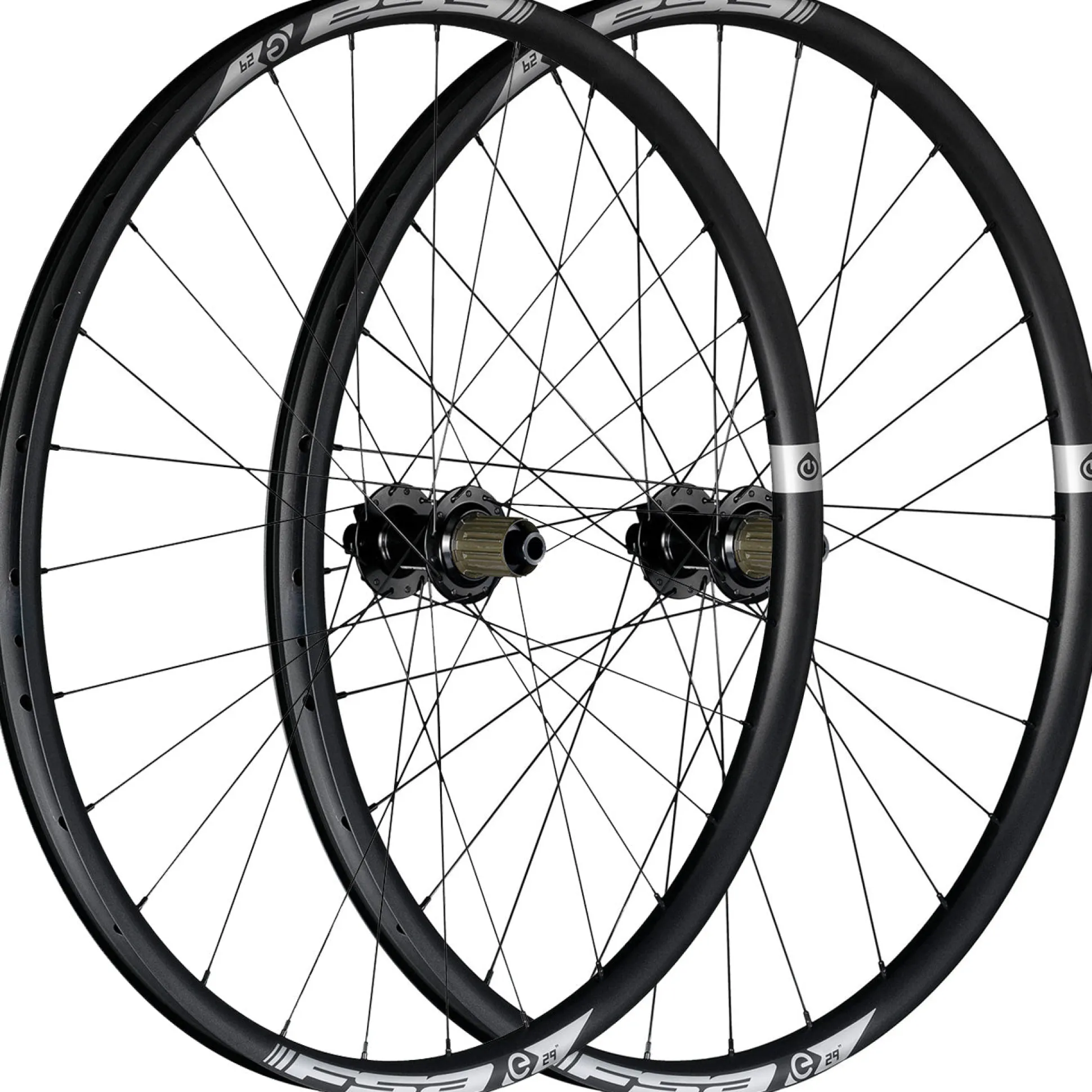 Ruote FSA E-mtb Alloy I30 Boost 29 - Nero