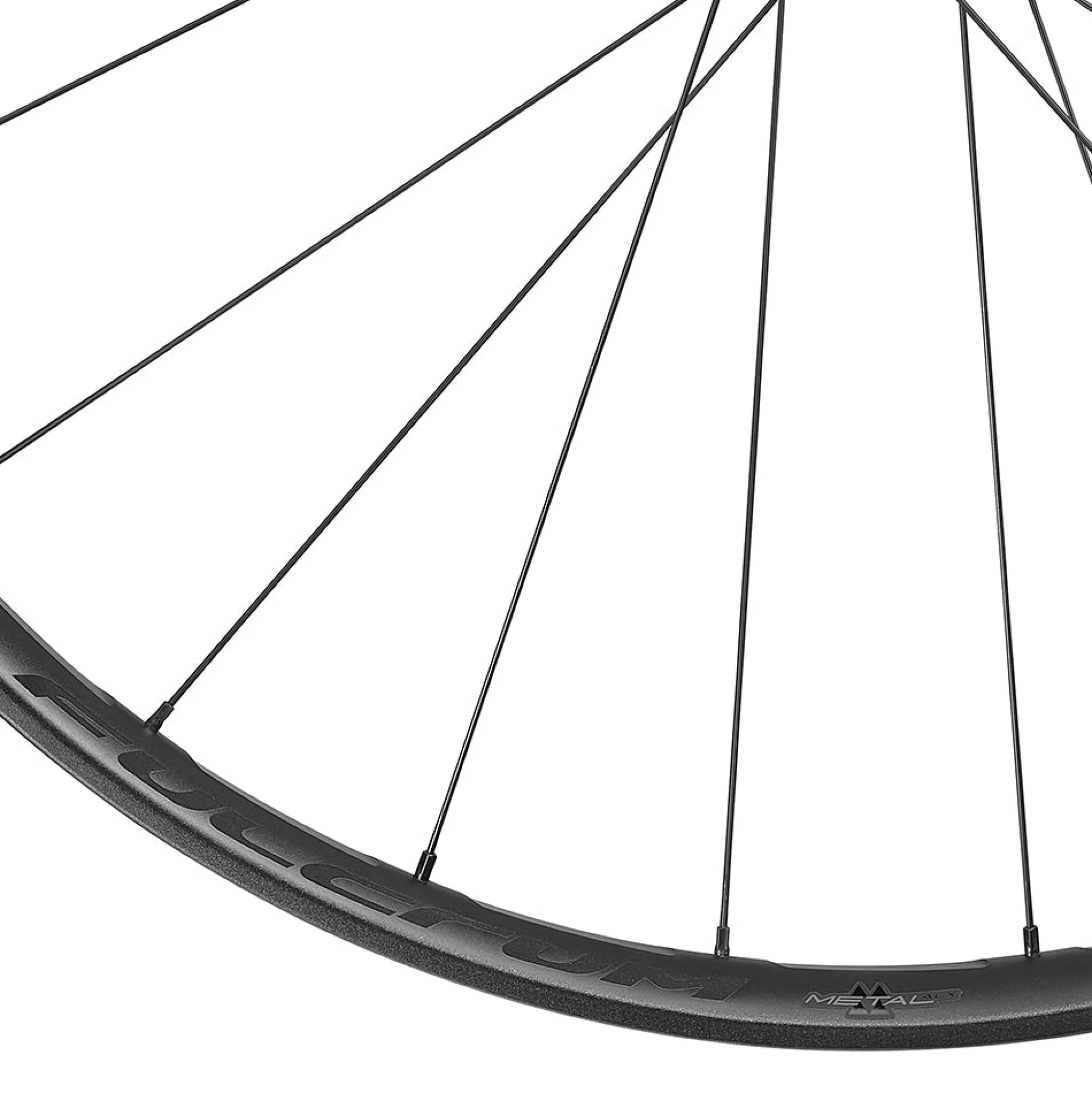 Ruote Fulcrum Metal ALX 2-Way Fit