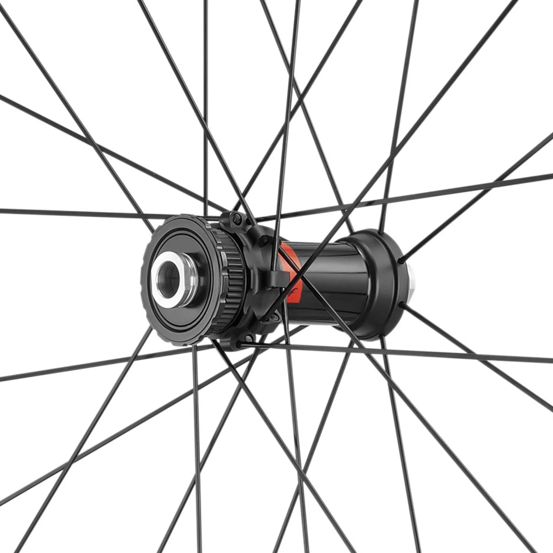 Ruote Fulcrum Speed 25 DB