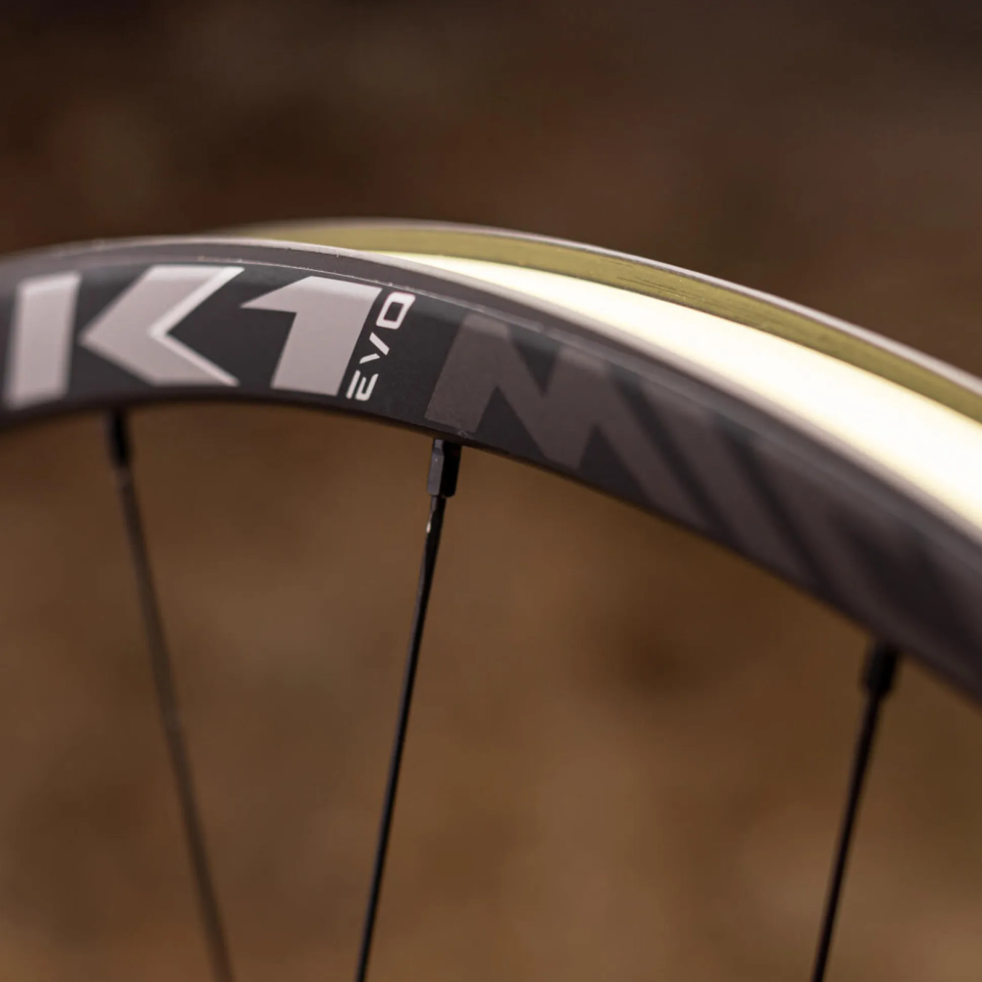 Ruote Miche K1 Evo Boost 29 SPLINE Tubeless