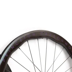 Ruote Princeton Peak 4550 EVO Disc Tactic TR01 - Viola