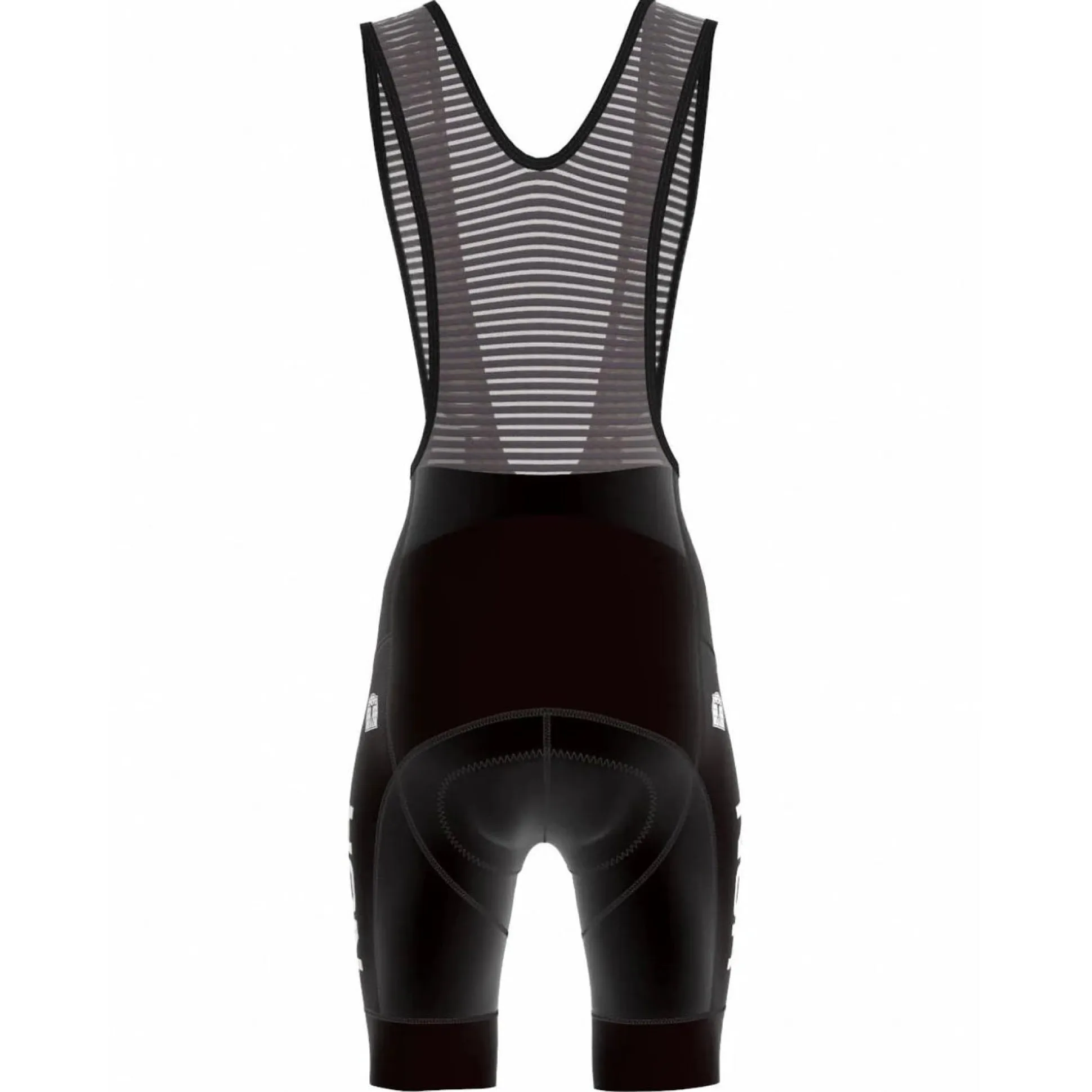 Salopette Bioracer Nazionale Norvegese 2026 Icon