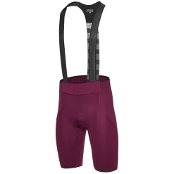 Salopette Dotout Power 2.0 - Bordeaux