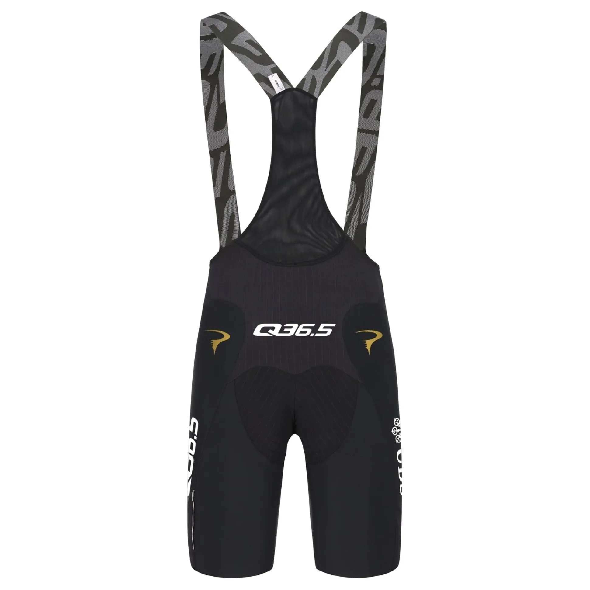 Salopette Pinarello-Q36.5 Pro Cycling Team 2026 Gregarius