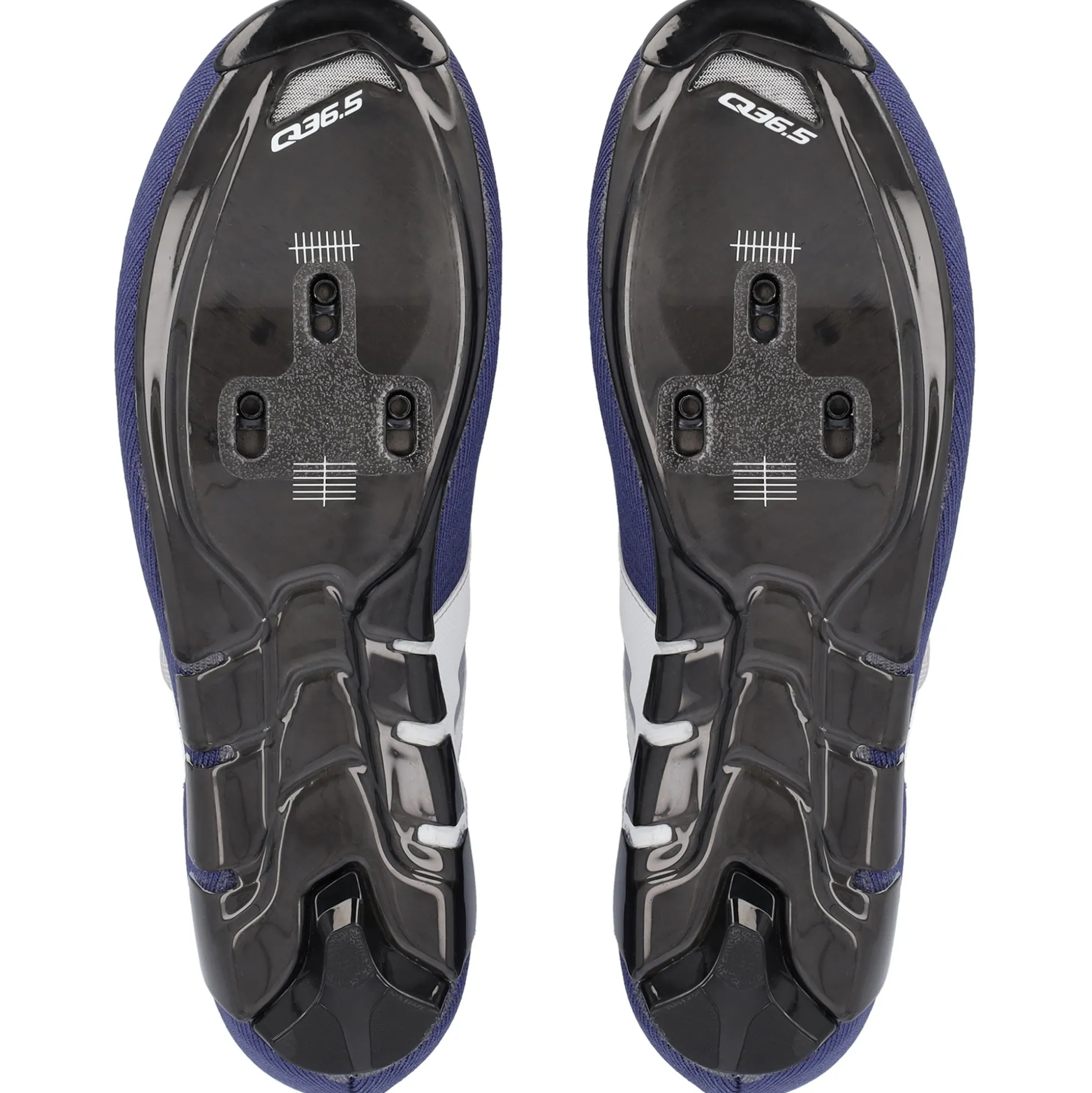 Scarpe Q36.5 Dottore Clima - Blu