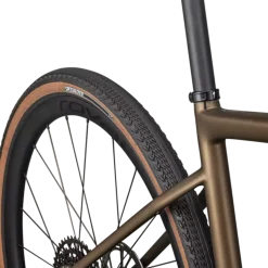 Specialized Diverge Expert Carbon - Marrone