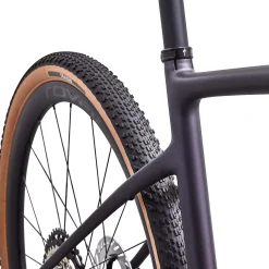 Specialized Diverge 4 Expert GRX DI2 - Viola
