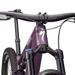 Specialized Epic 8 EVO Expert - Viola