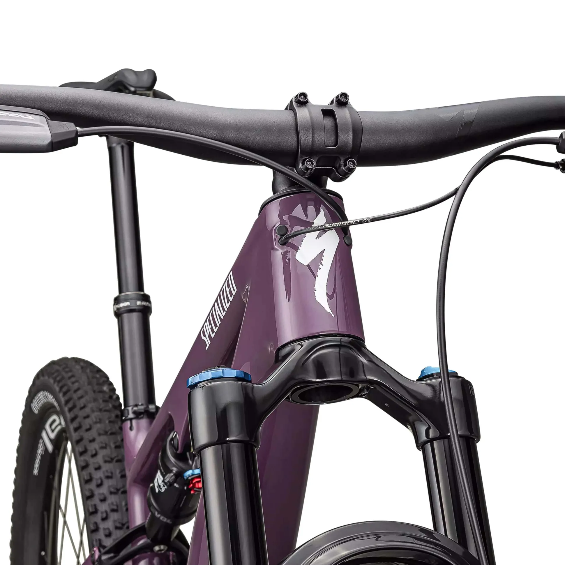 Specialized Epic 8 EVO Expert - Viola