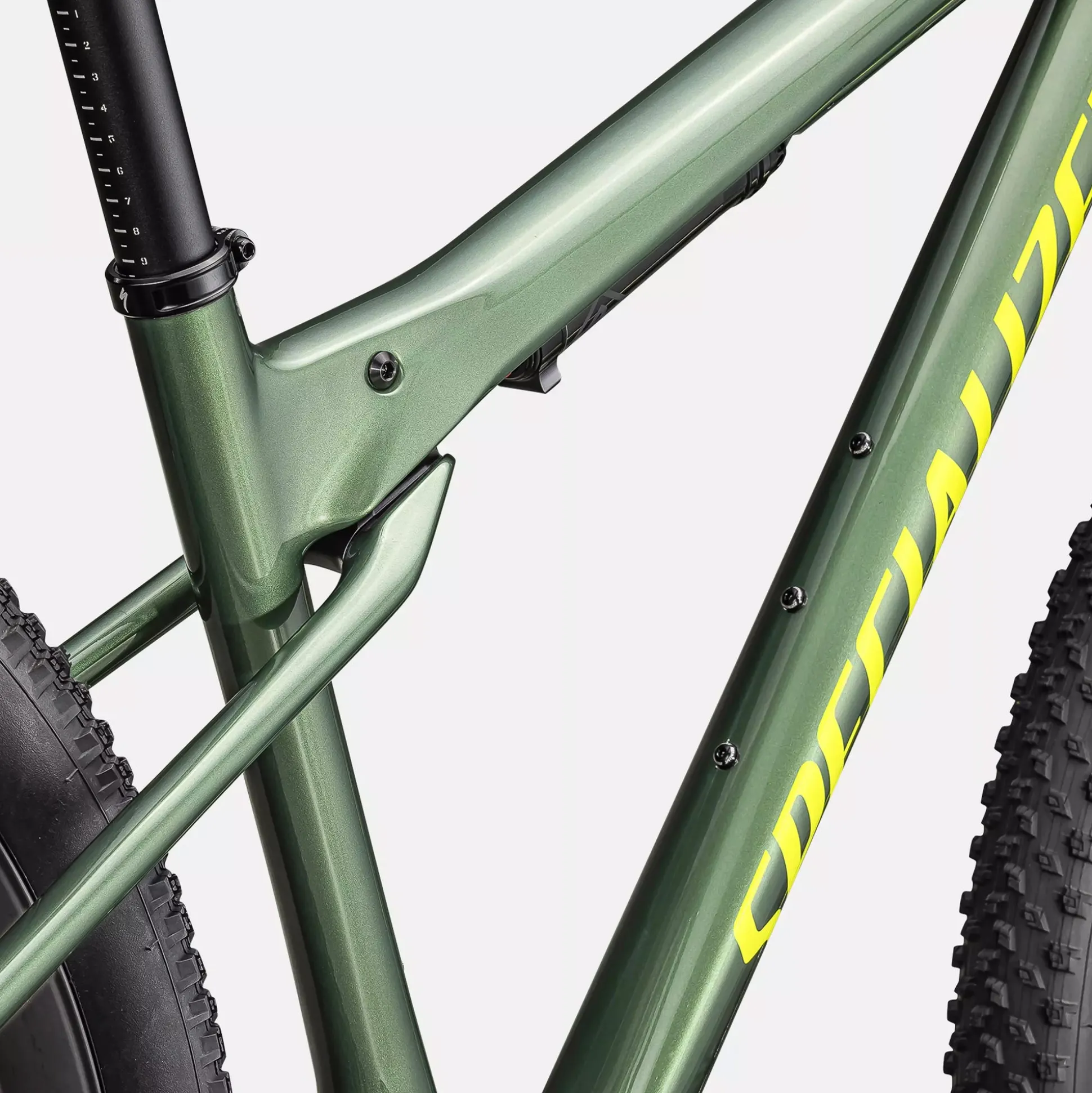 Specialized Epic World Cup Expert - Verde