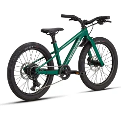 Specialized Riprock 20 - Verde