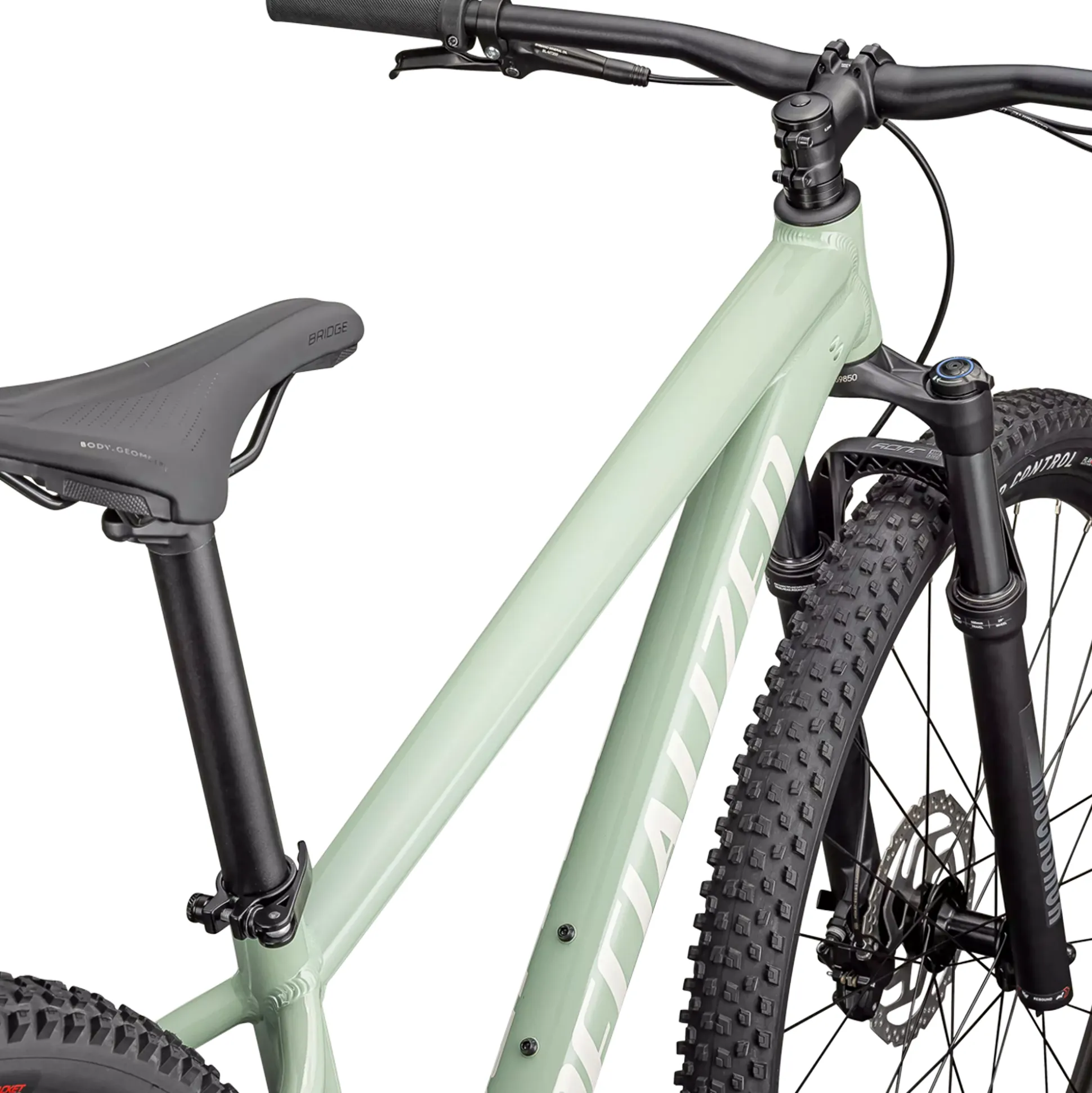 Specialized Rockhopper Comp - Verde Chiaro